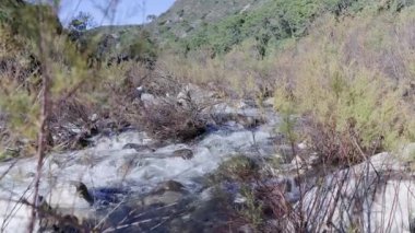 Nehir yatağındaki kayaların üzerinden hızla akan temiz su yemyeşil bir orman ve tepelerle çevrilidir.