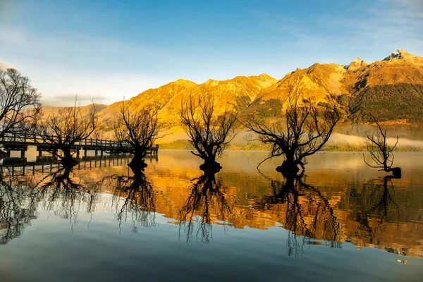 Landmark Kale Wilgenbomen Groeien Een Lijn Lake Wakatipu Bij Glenorchy — Stockfoto