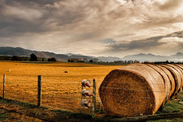 Agricultural Farmland Country Geraldine Canterbury Featuring Long Line Hay Straw Royalty Free Stock Images