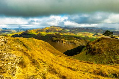 Te Mata zirvesinden Hawkes Körfezi kırsalındaki dalgalı tepelere ve kırsal tarım vadilerine