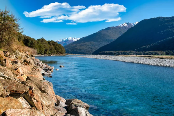 Gezgin Makarora Nehri Ağacın içinden akıyor Ulusal Park Tepesi 'ndeki vadide
