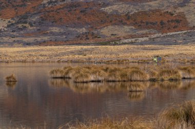 Emma Gölü, Yeni Zelanda 'nın Canterbury kentinde Hakatere Koruma Parkı' nda bulunan küçük bir göldür. Clearwater Gölü 'ne çok yakın.