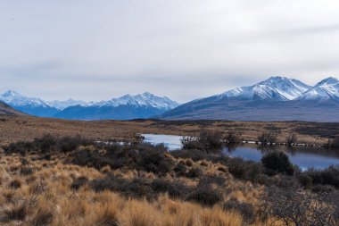 Lake Clearwater kıyısındaki dağ ve deniz aygırı manzarası gölün etrafındaki pist boyunca uzanır.