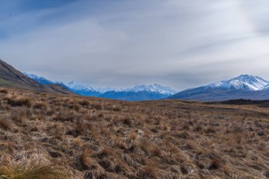 Lake Clearwater kıyısındaki dağ ve deniz aygırı manzarası gölün etrafındaki pist boyunca uzanır.