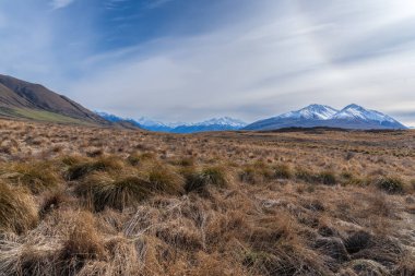 Lake Clearwater kıyısındaki dağ ve deniz aygırı manzarası gölün etrafındaki pist boyunca uzanır.