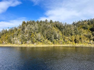 Karamea 'nın güneyindeki ormandaki çok uzak Hanlon Gölü.