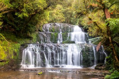 Ormanda yürüyüş yapmak ve Catlins 'in verimli ormanlarındaki Purakaunui Şelalesini bulmak.