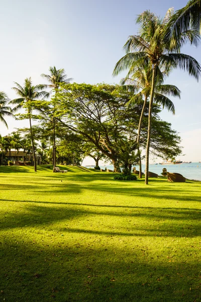 Relaxe à beira-mar — Fotografia de Stock