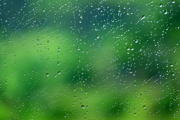 緑の背景のウィンドウに雨粒 — ストック写真