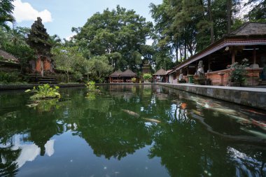 Bali Adası, Endonezya