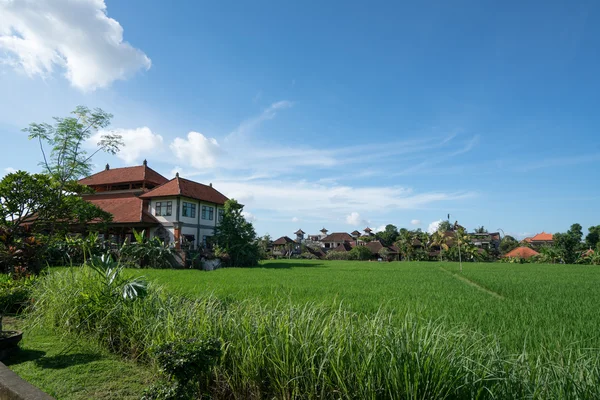 Ön Bali, Indonesien — Stockfoto