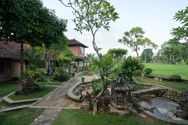 Bali Adası, Endonezya — Stok fotoğraf