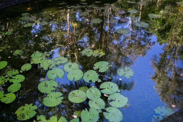 Bali Island, Indonésie — Photo