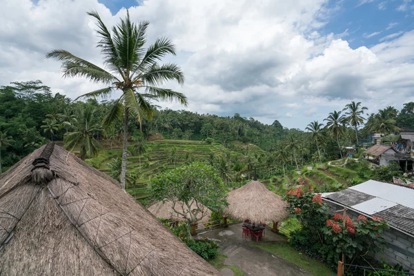 Ön Bali, Indonesien — Stockfoto