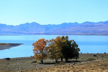 Yeni Zelanda 'nın manzaraları
