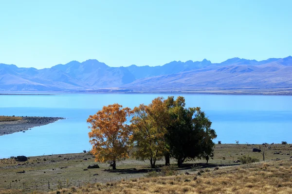 Yeni Zelanda 'nın manzaraları — Stok fotoğraf