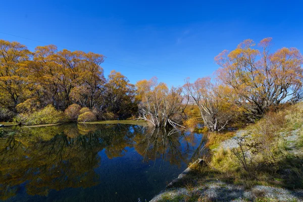 Krajobraz Fork River w Nowej Zelandii — Zdjęcie stockowe