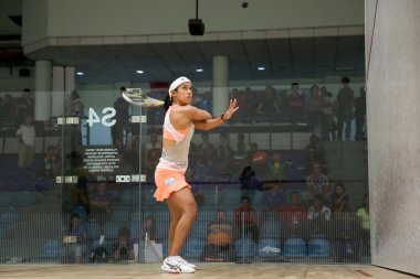 CIMB Malezya açık squash Şampiyonası 2014