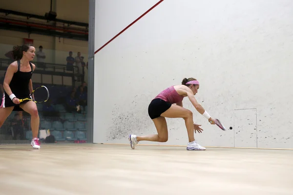 Malezja CIMB squash otwarte Mistrzostwa 2014 — Zdjęcie stockowe