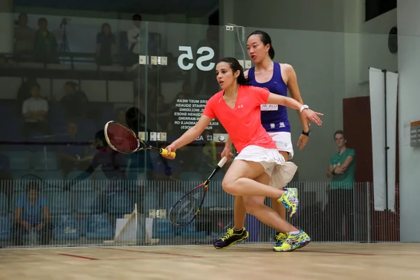 CIMB Malaysia Open Squash Championship 2014 – stockfoto