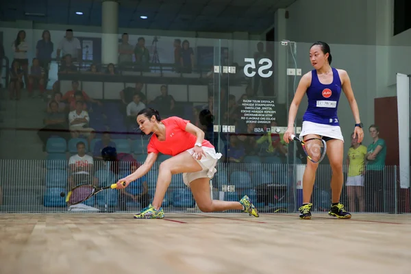 CIMB Malajzia open squash bajnokság 2014 — Stock Fotó