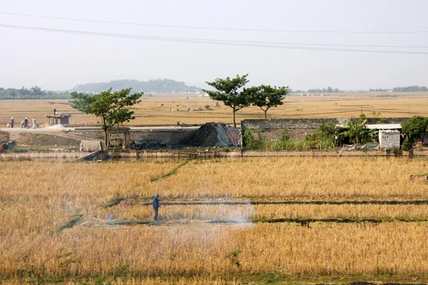 Terreni agricoli tradizionali e case in Vietnam . — Foto Stock