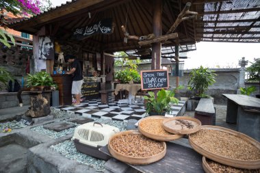 kahve Luwak