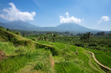 Bali Adası, Endonezya