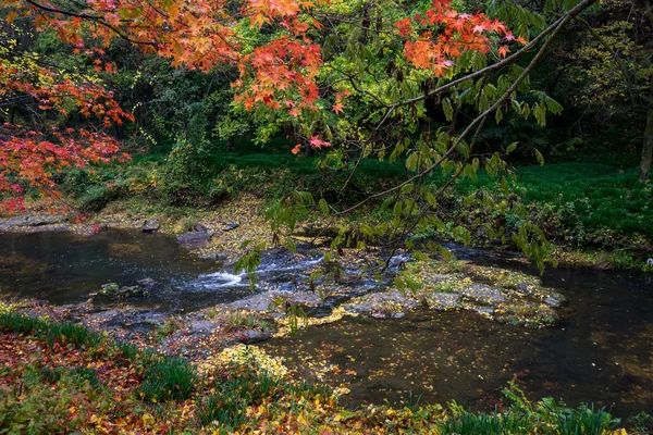 Autumn, South Korea — Stock Photo, Image