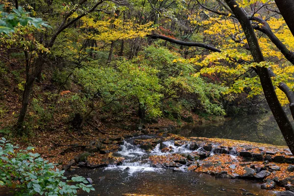 Őszi, Dél-Korea — Stock Fotó