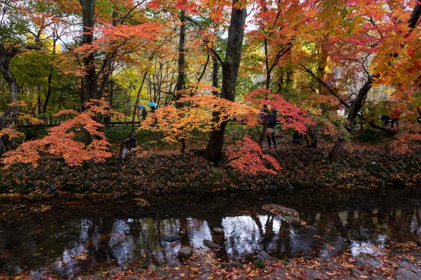 Φθινόπωρο, Νότια Κορέα — Φωτογραφία Αρχείου