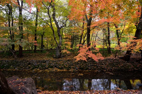 Outono, Coreia do Sul — Fotografia de Stock