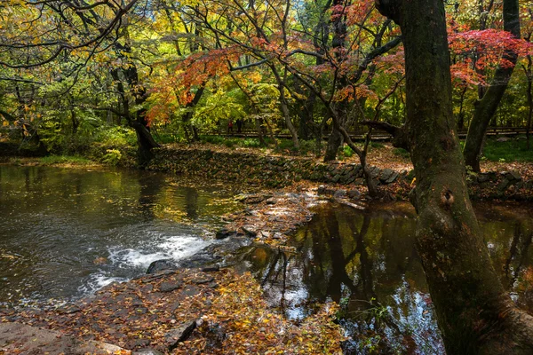 Őszi, Dél-Korea — Stock Fotó