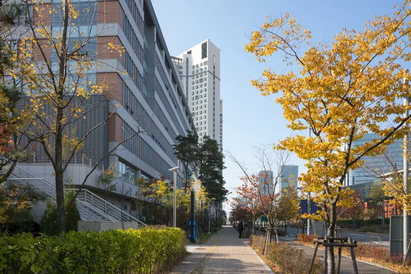 Autumn in the city, South Korea — Stockfoto