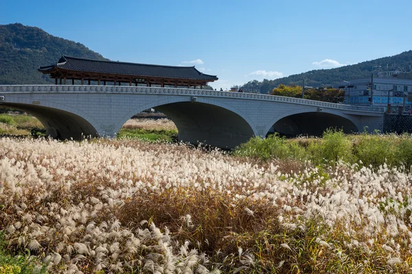 Ζενζού Hanok χωριό — Φωτογραφία Αρχείου