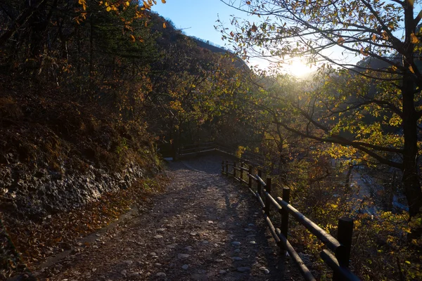 Colori autunnali a Mount Maisan, Corea del Sud — Foto Stock