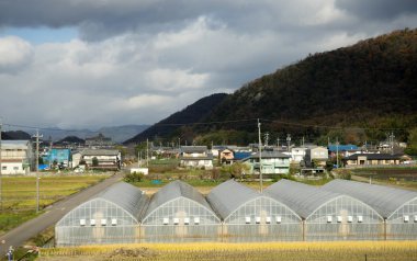 Ülke görünümünü