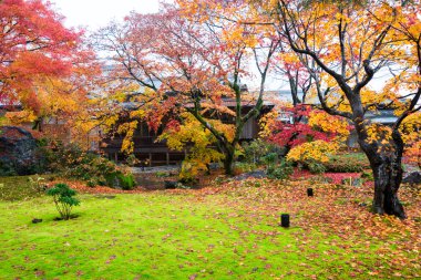 Hogonin Tapınağı, Kyoto, Japonya
