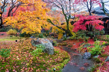 Hogonin Tapınağı, Kyoto, Japonya
