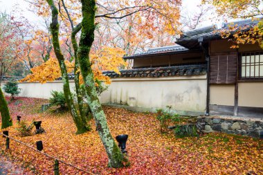 Hogonin Tapınağı, Kyoto, Japonya
