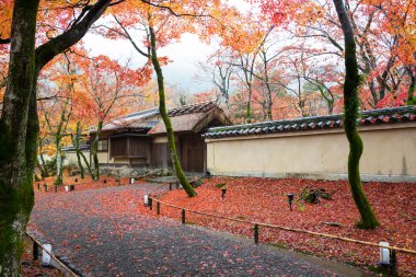 Hogonin Tapınağı, Kyoto, Japonya