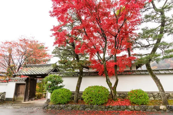 嵐山、日本 — ストック写真