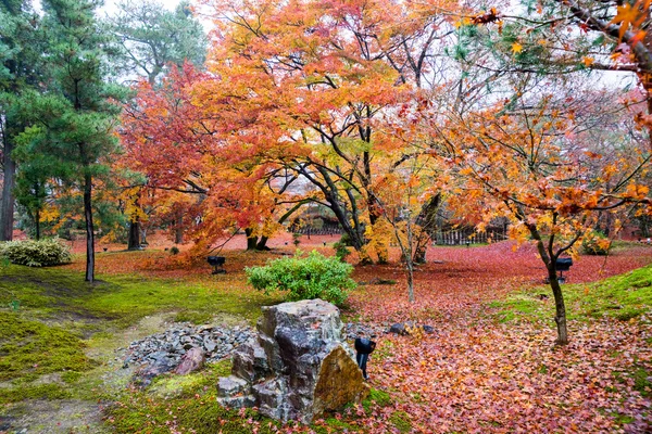 Temple Hogonin, Kyoto, Japon — Photo