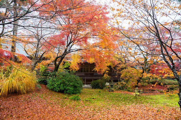 拝観寺、京都、日本 — ストック写真