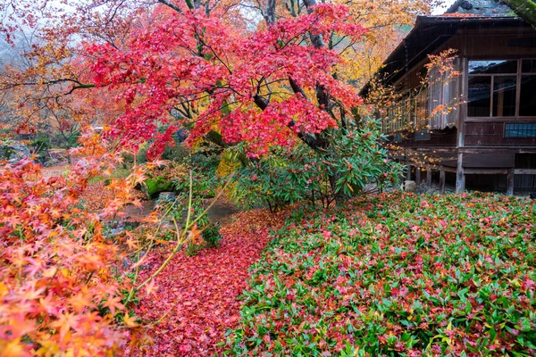 Temple Hogonin, Kyoto, Japon — Photo