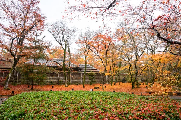 Hogonin 寺，京都日本 — 图库照片