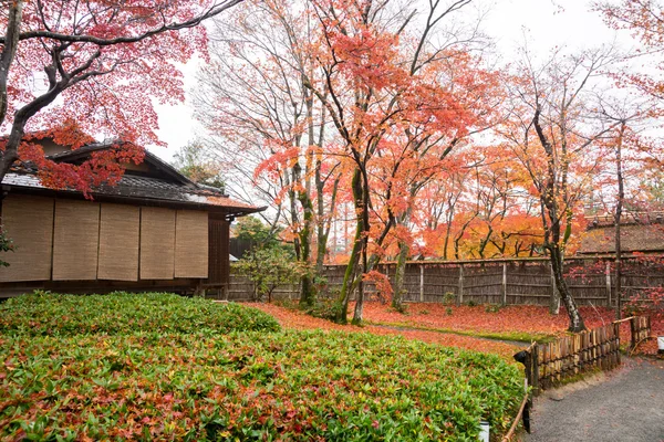 拝観寺、京都、日本 — ストック写真