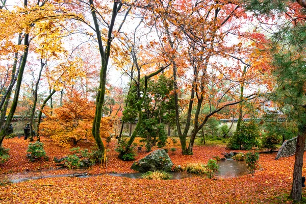 拝観寺、京都、日本 — ストック写真