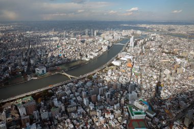 Tokyo, Japonya