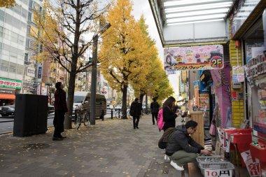 Harajuku, Tokyo, Japonya